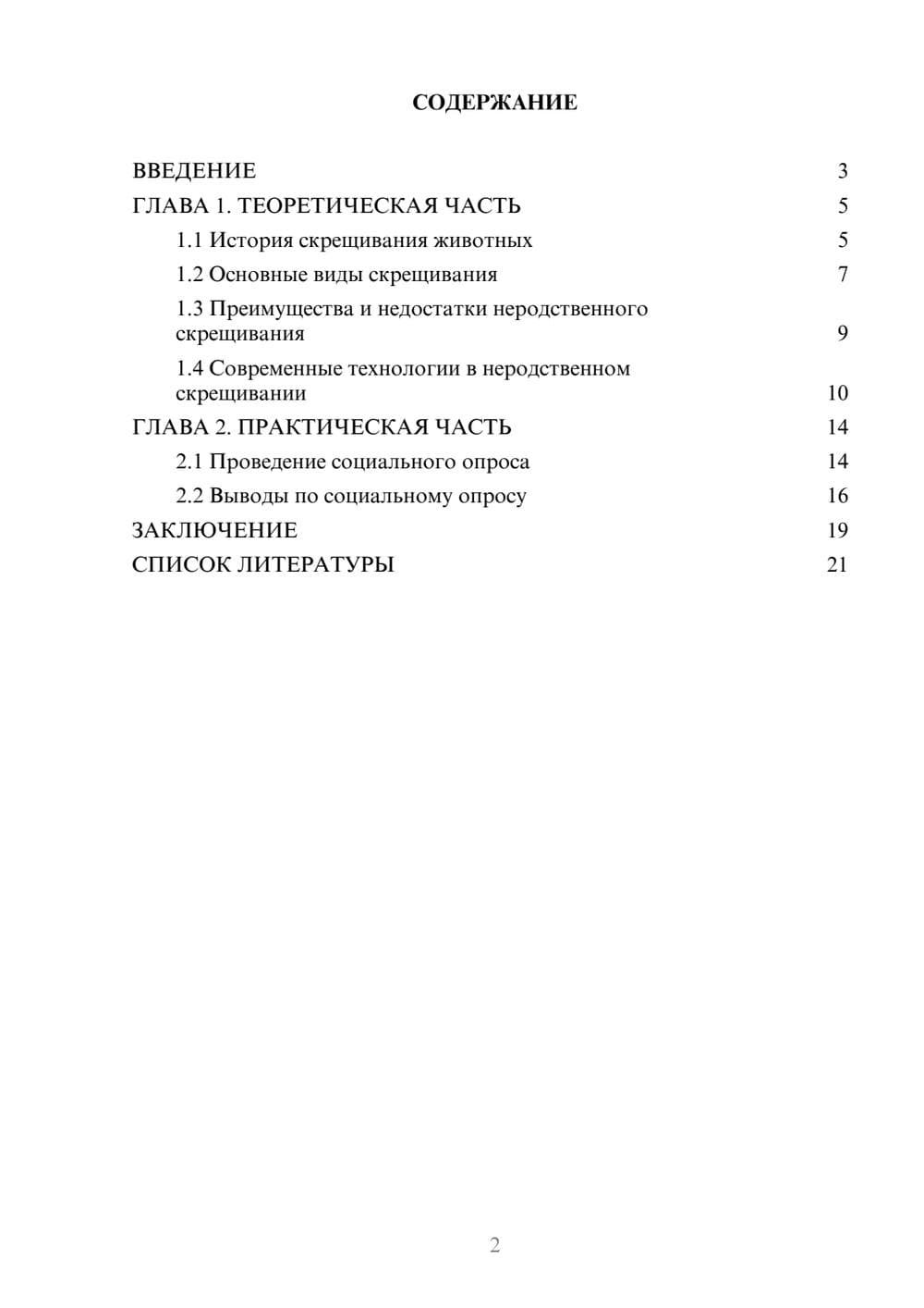 Предпросмотр проекта 2