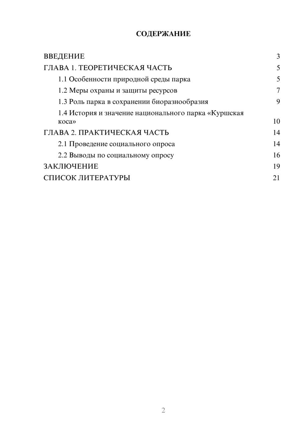 Предпросмотр проекта 2