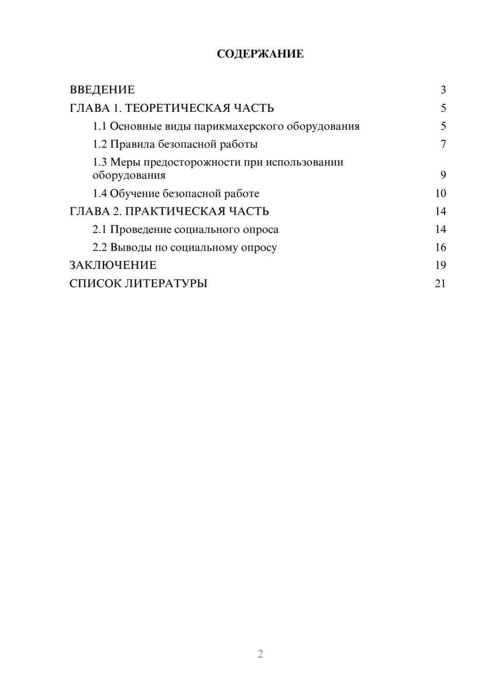 Предпросмотр проекта 2