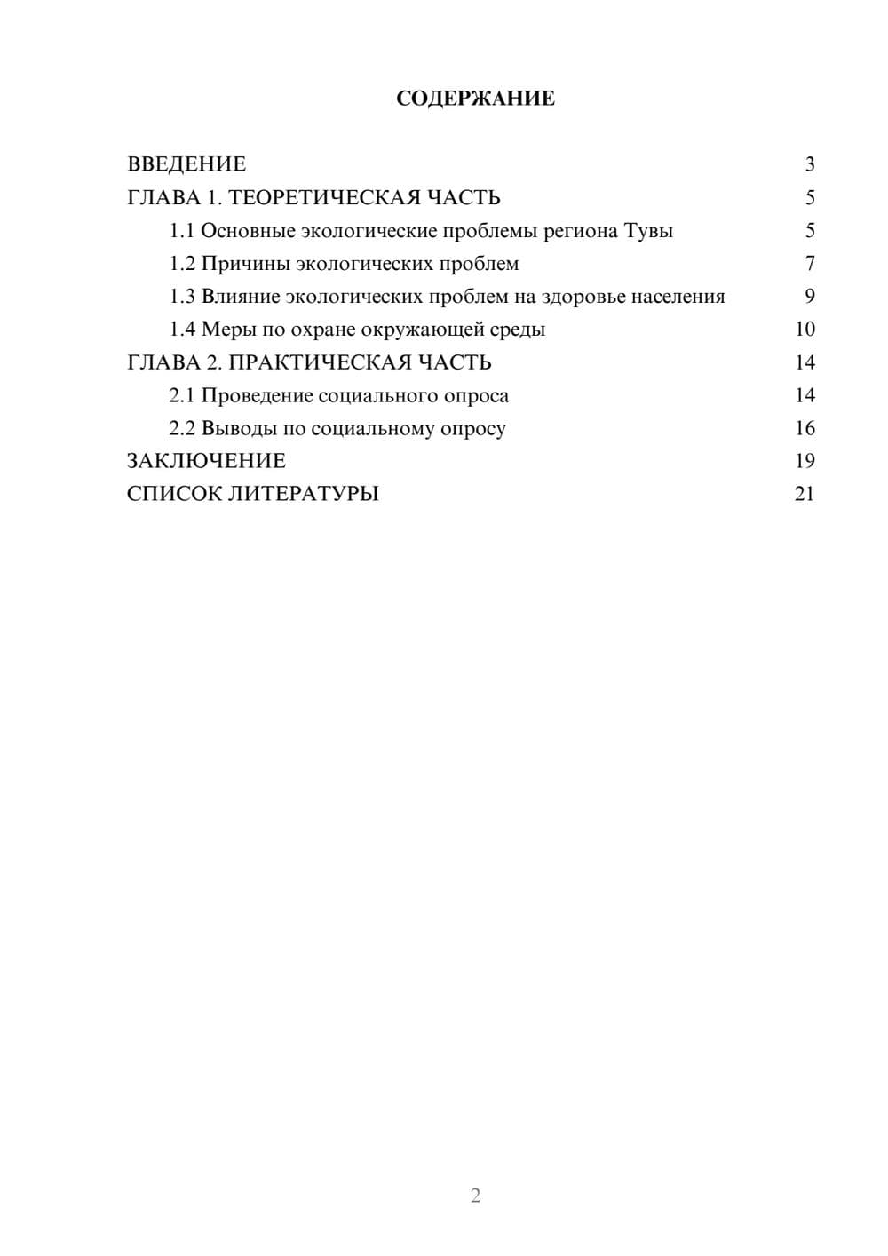 Предпросмотр проекта 2