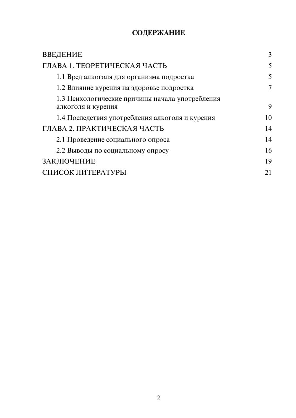 Предпросмотр проекта 2