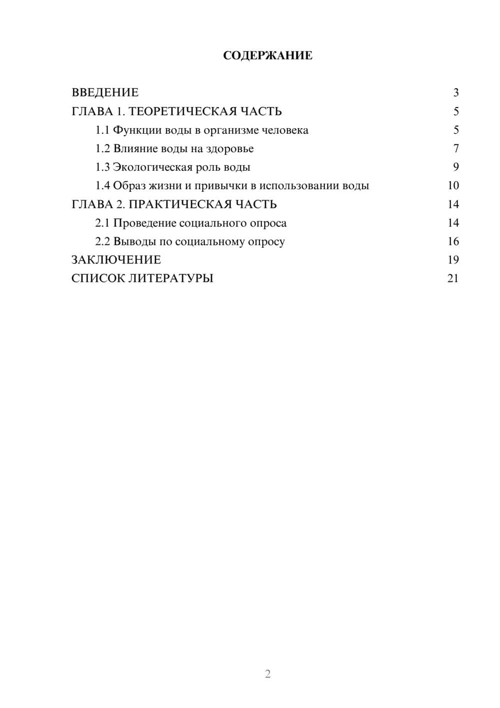 Предпросмотр проекта 2