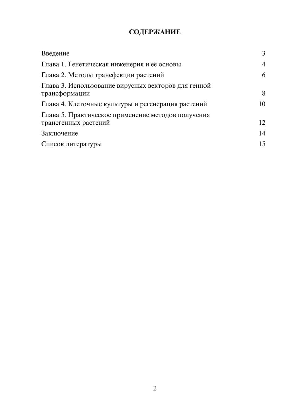 Предпросмотр доклада 2