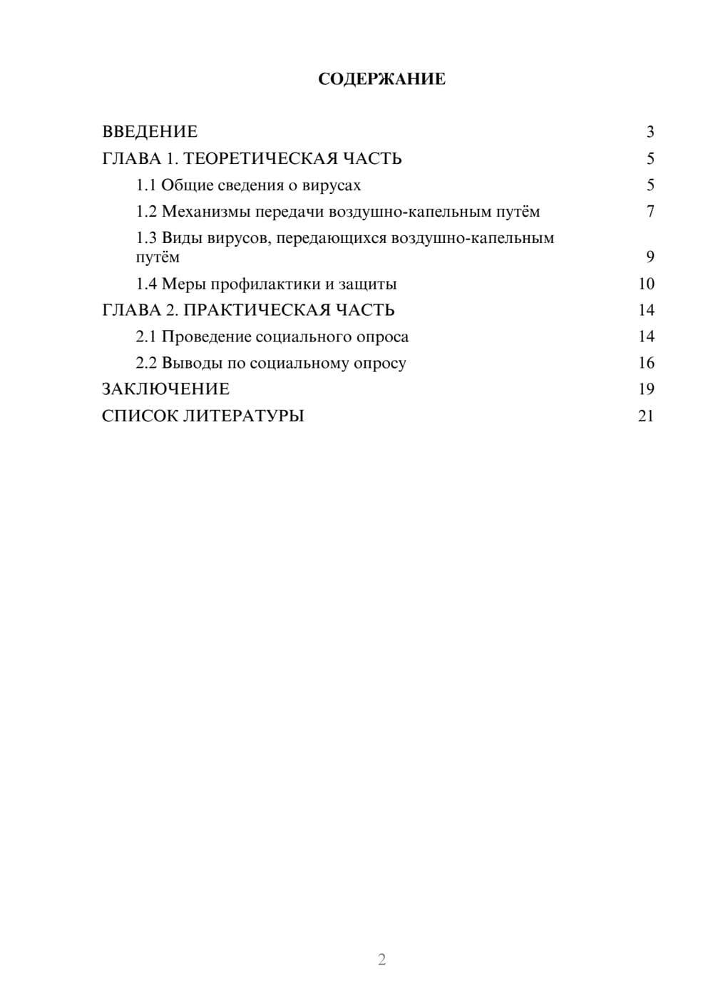 Предпросмотр проекта 2