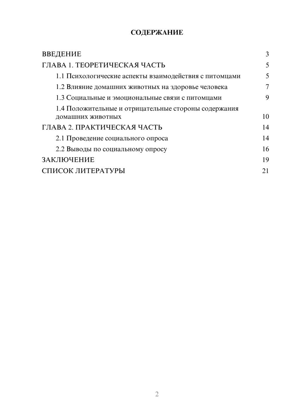 Предпросмотр проекта 2