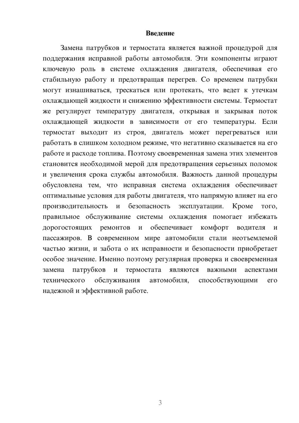 Предпросмотр доклада 3