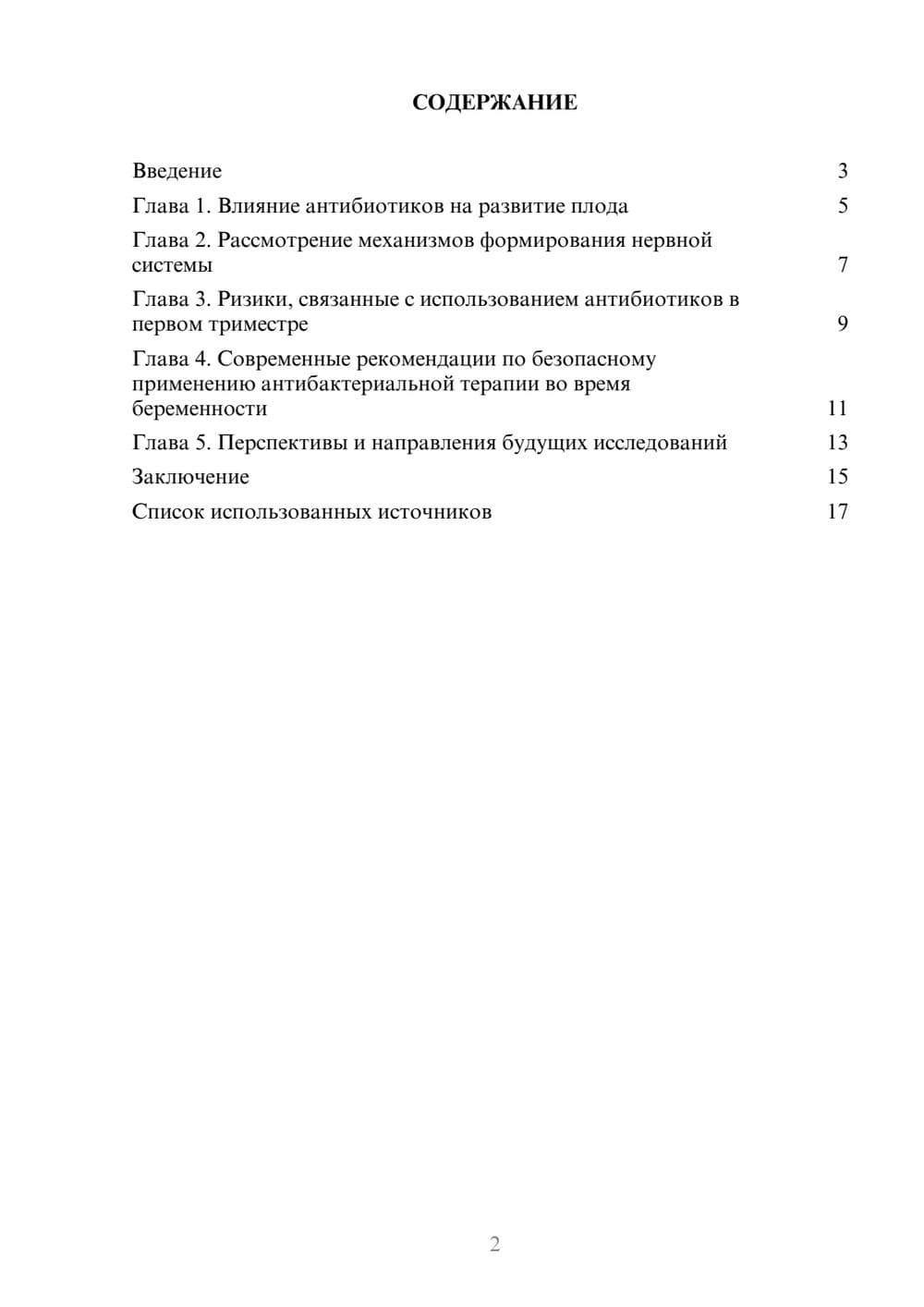 Предпросмотр реферата 2