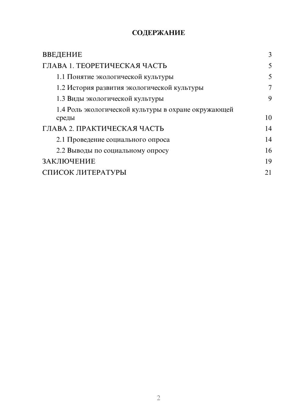 Предпросмотр проекта 2