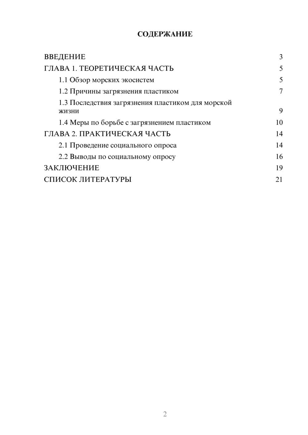 Предпросмотр проекта 2