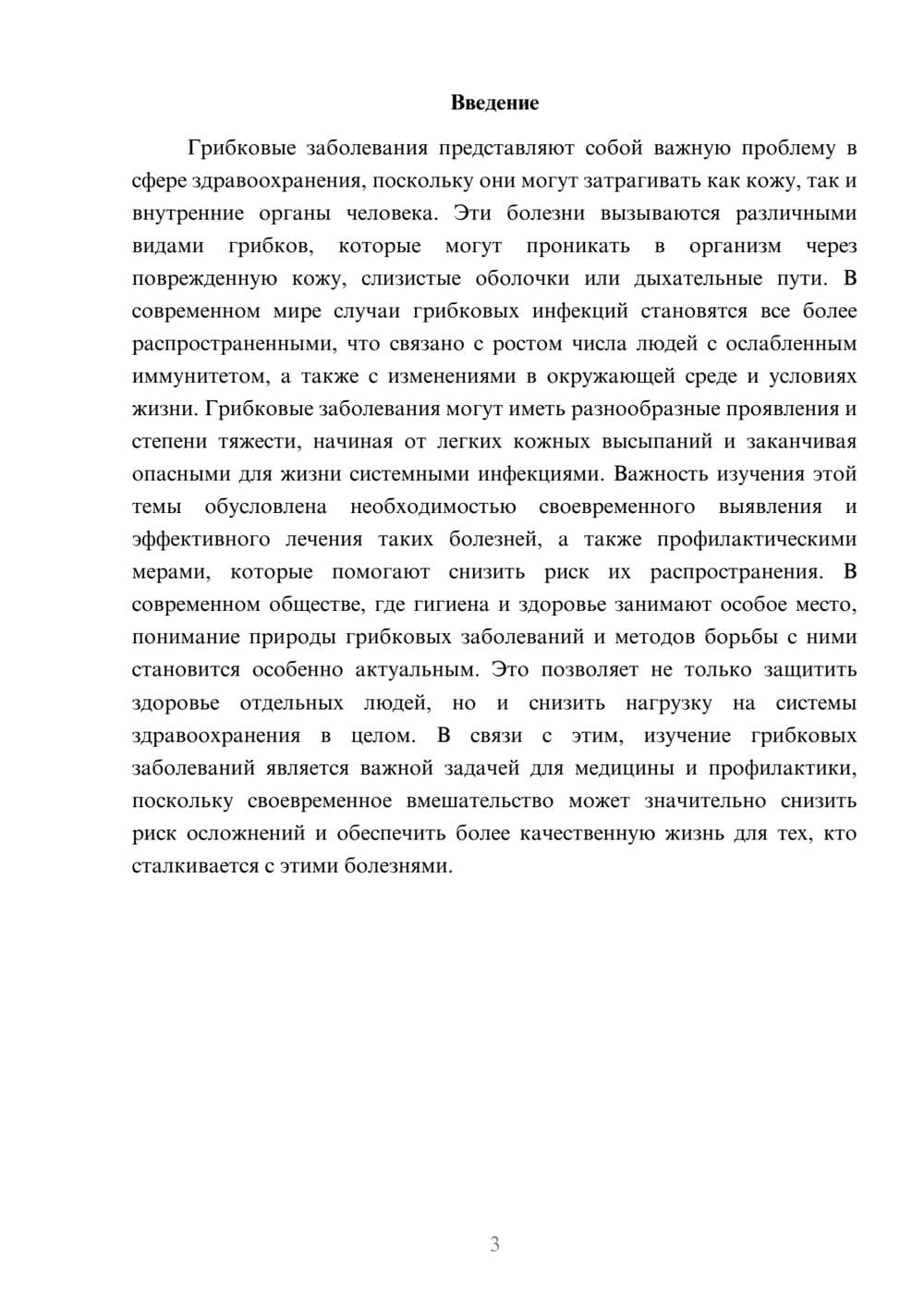 Предпросмотр доклада 3