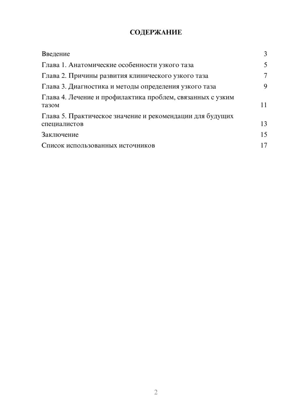 Предпросмотр реферата 2