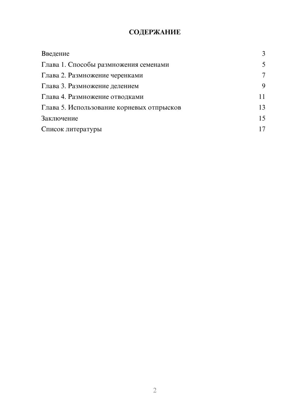 Предпросмотр доклада 2