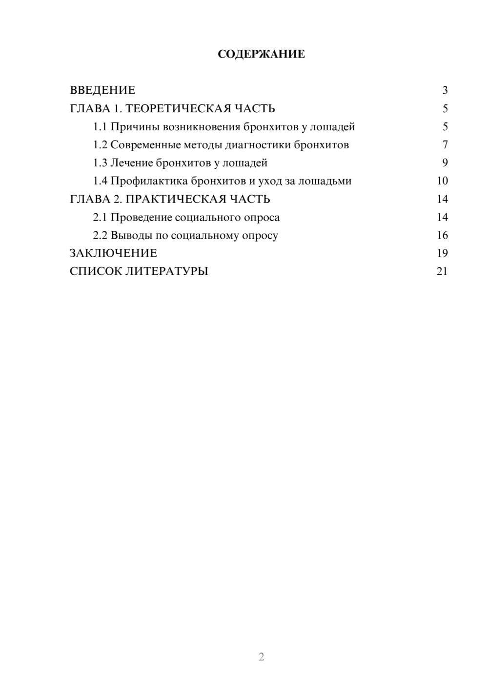 Предпросмотр проекта 2