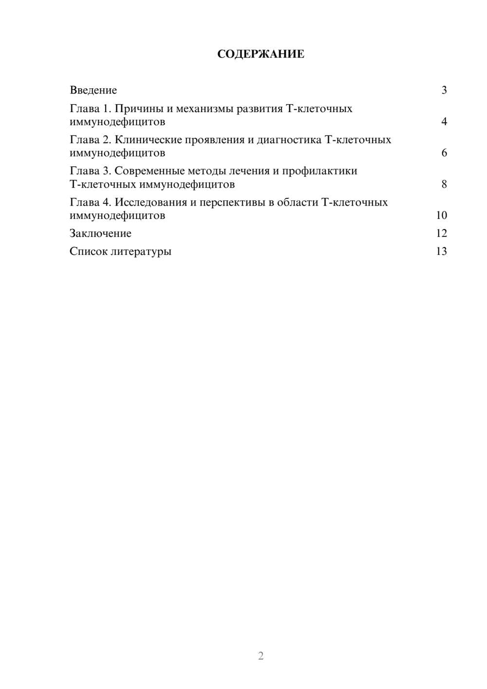 Предпросмотр доклада 2