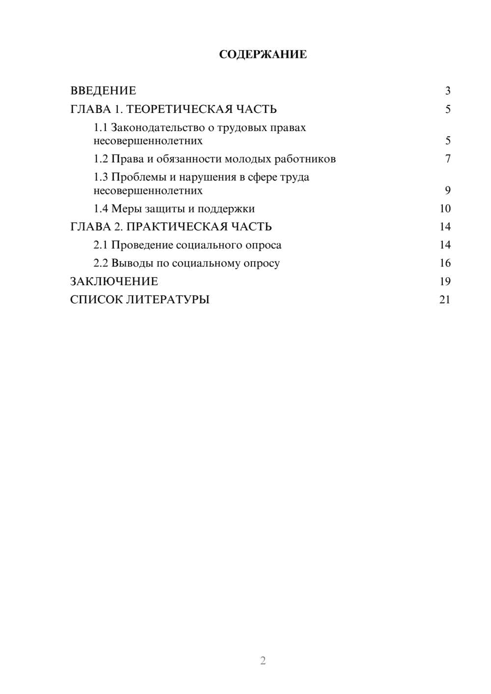 Предпросмотр проекта 2