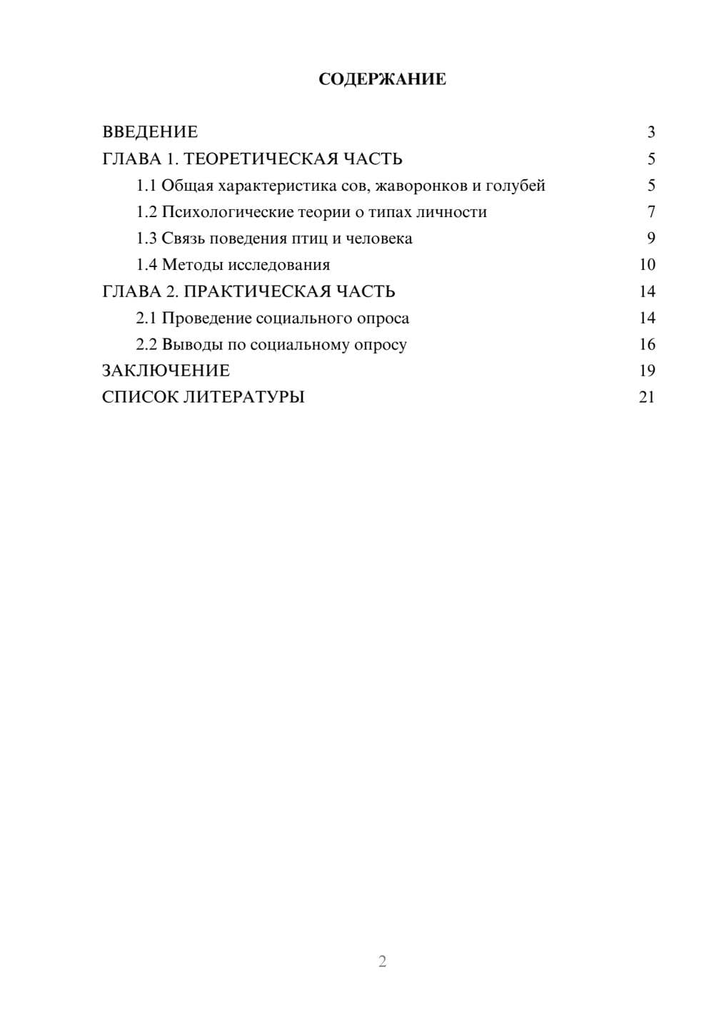 Предпросмотр проекта 2