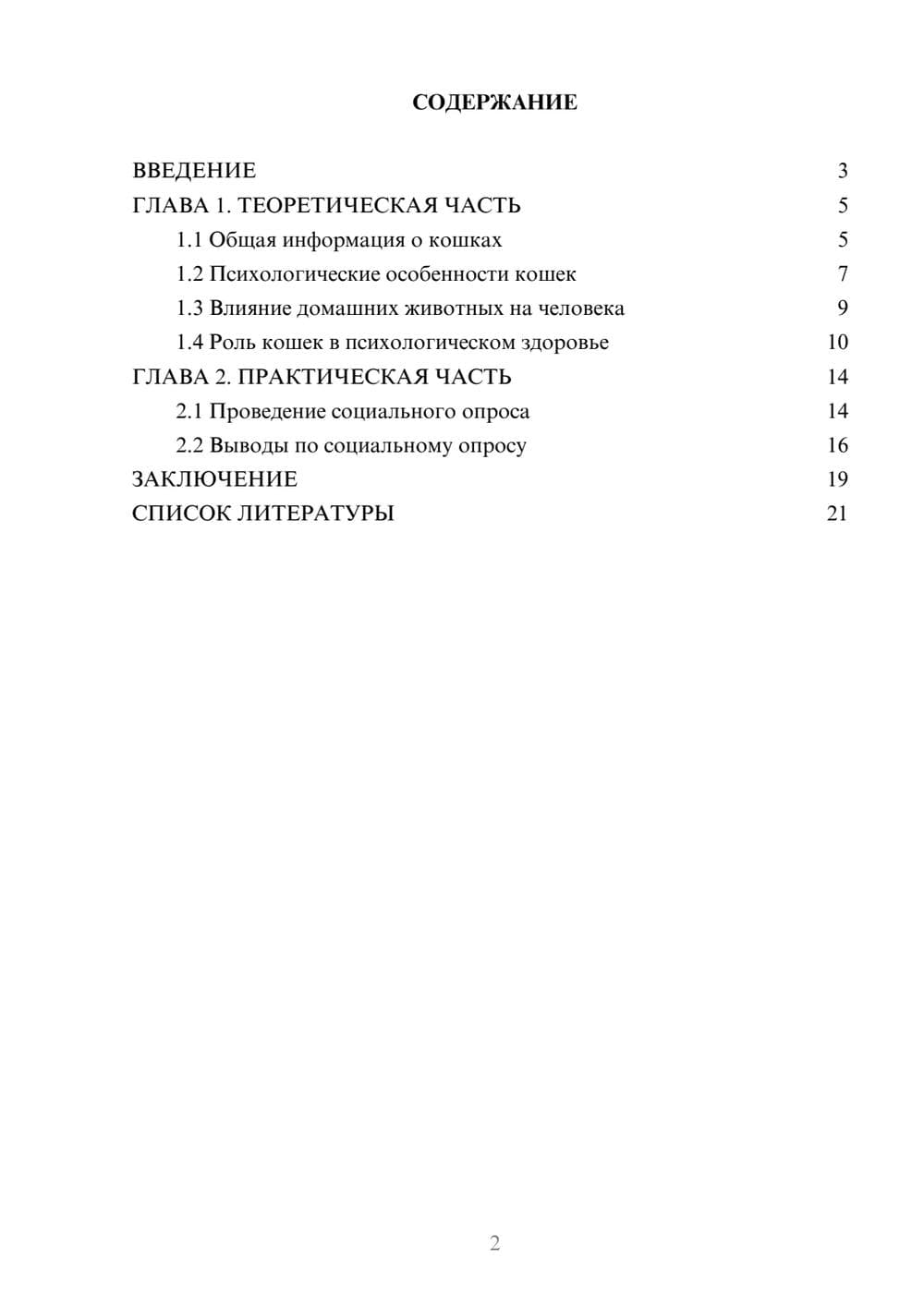 Предпросмотр проекта 2