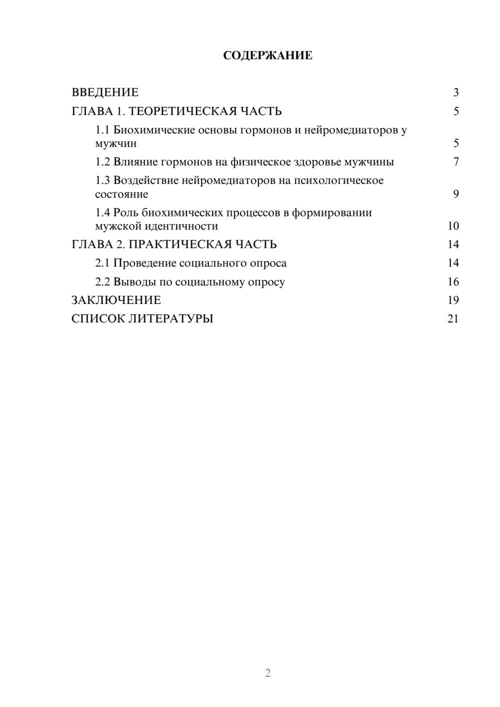 Предпросмотр проекта 2