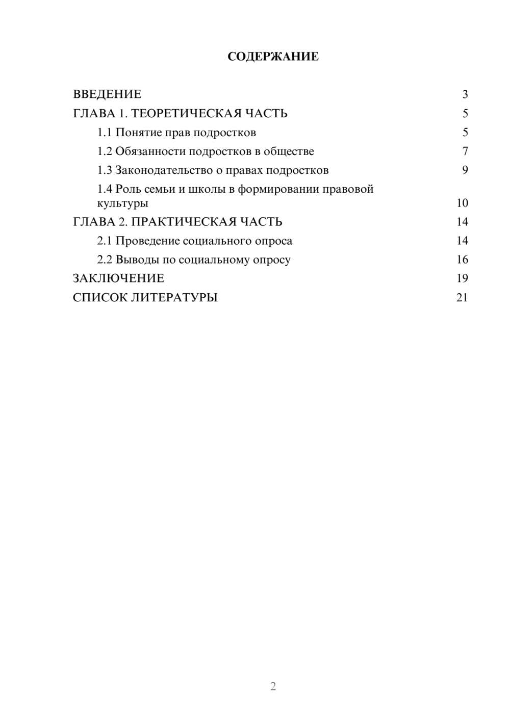 Предпросмотр проекта 2