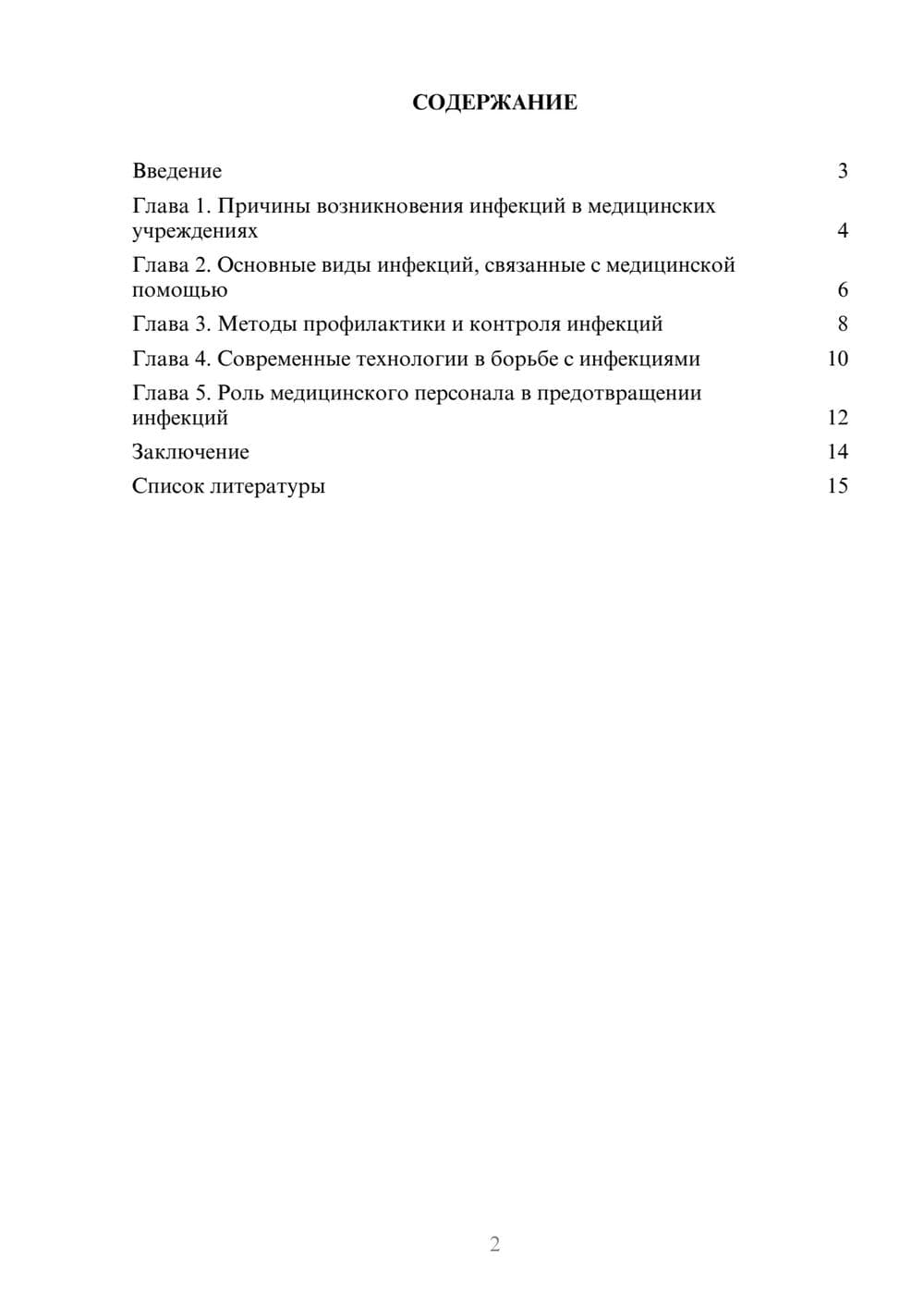 Предпросмотр доклада 2