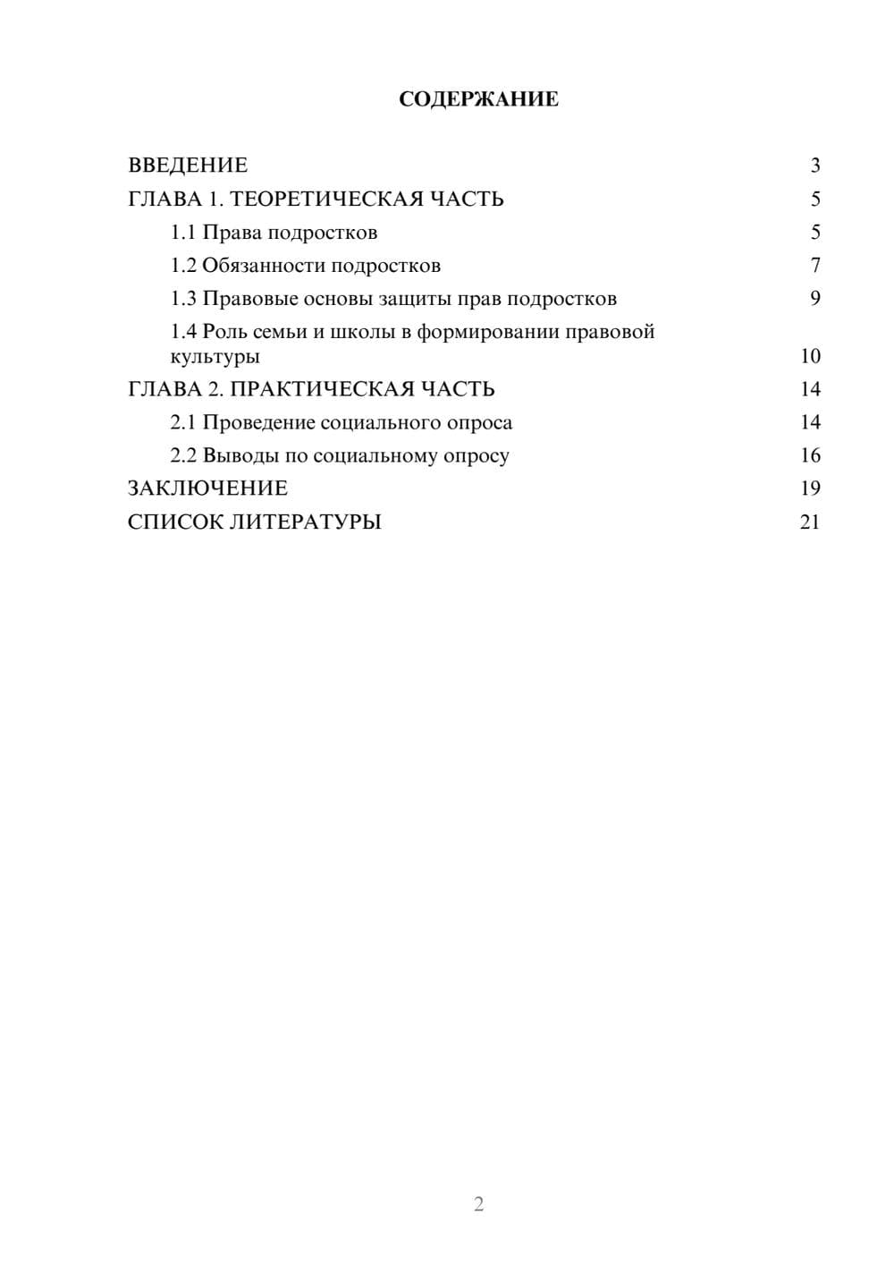 Предпросмотр проекта 2