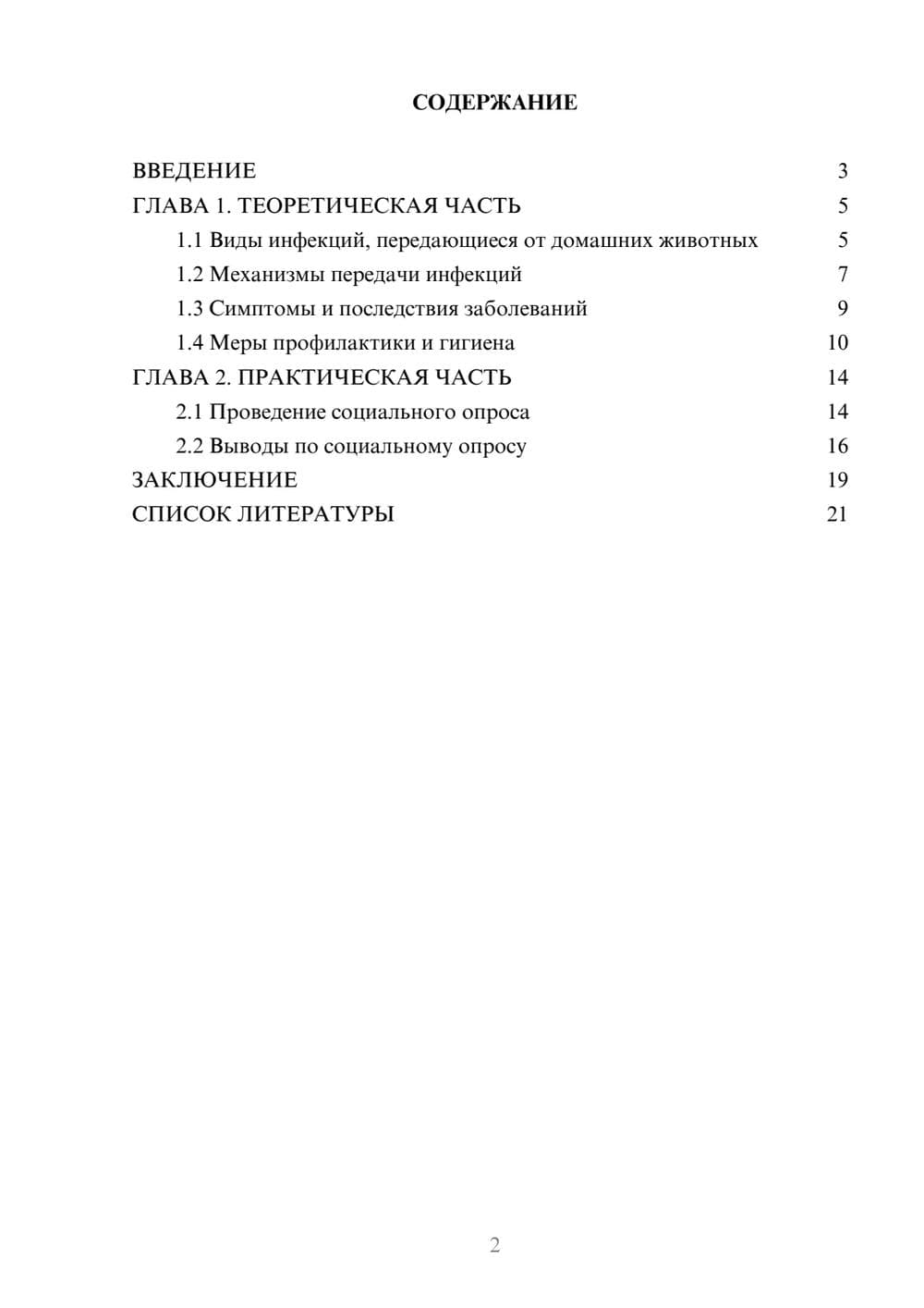 Предпросмотр проекта 2