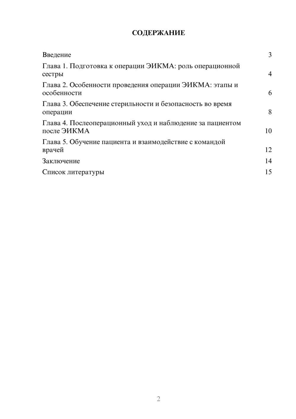 Предпросмотр доклада 2