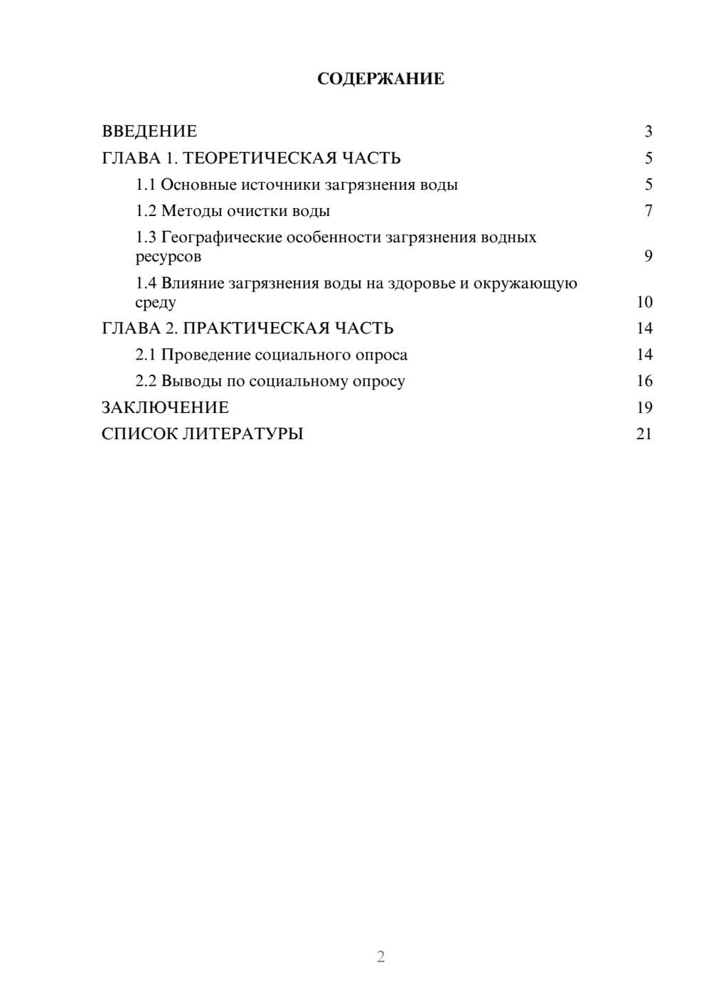 Предпросмотр проекта 2
