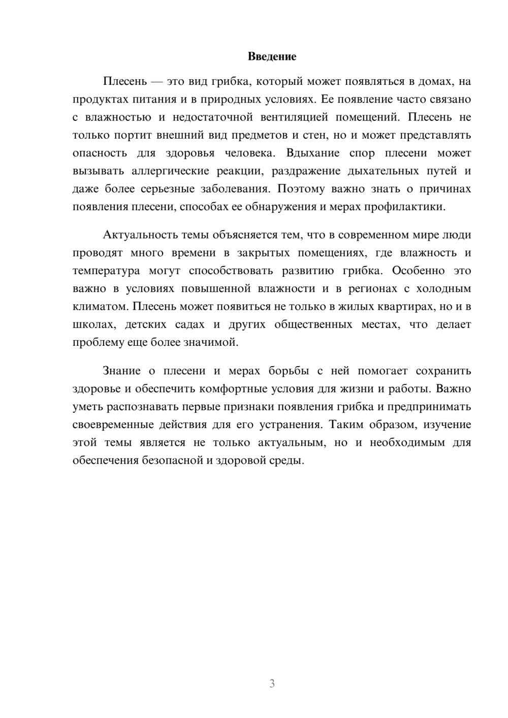 Предпросмотр доклада 3