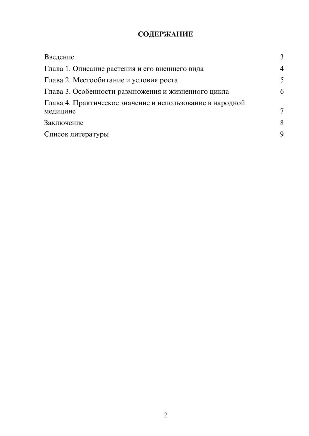 Предпросмотр доклада 2