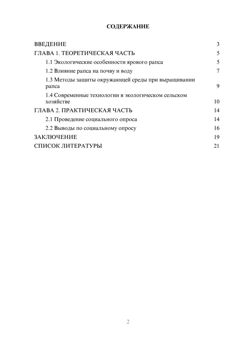 Предпросмотр проекта 2