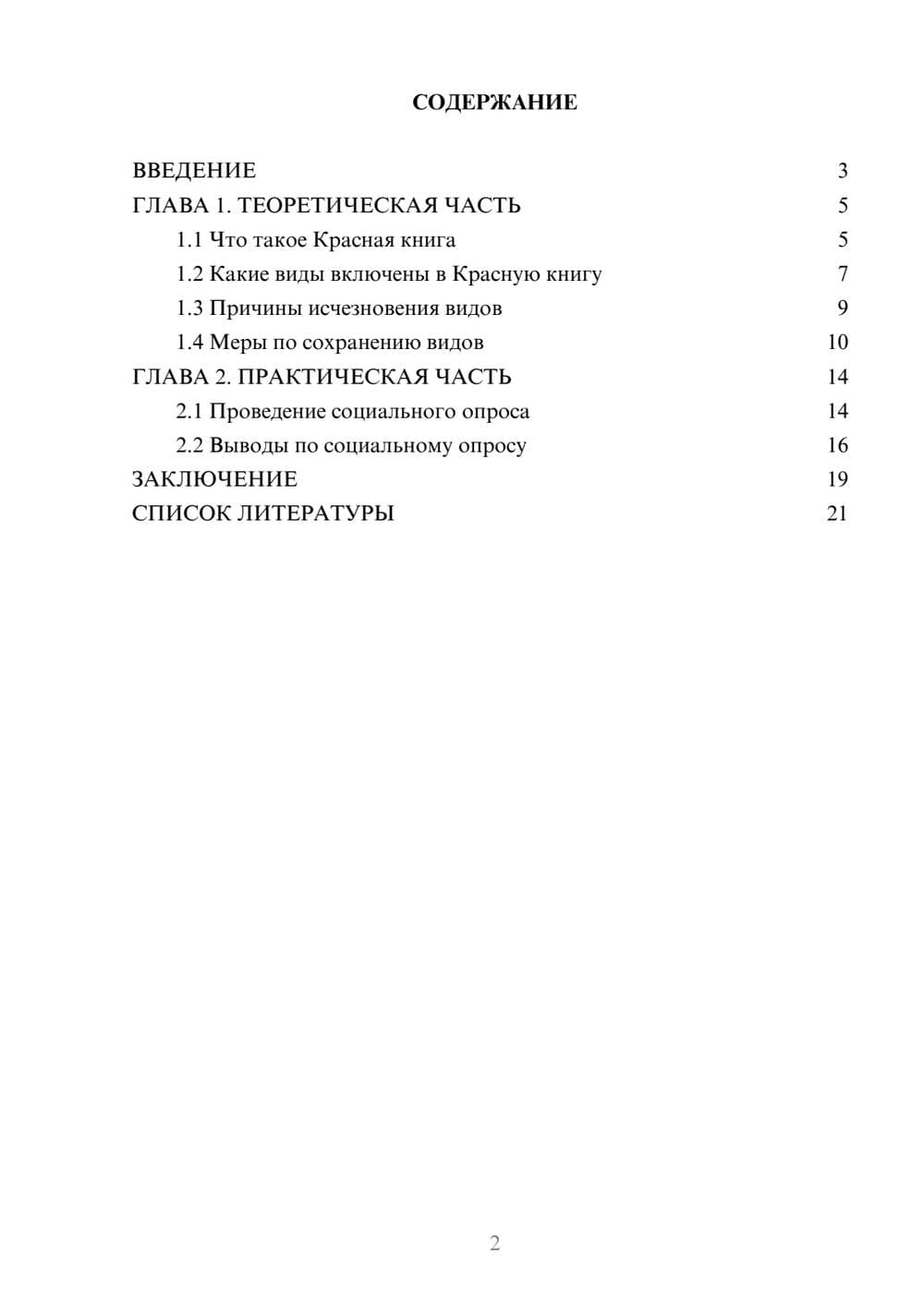 Предпросмотр проекта 2