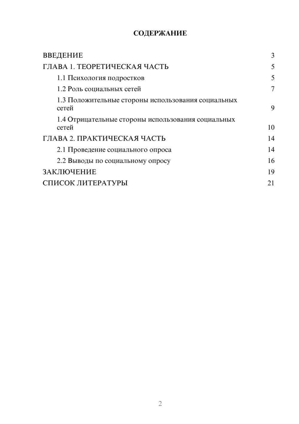 Предпросмотр проекта 2