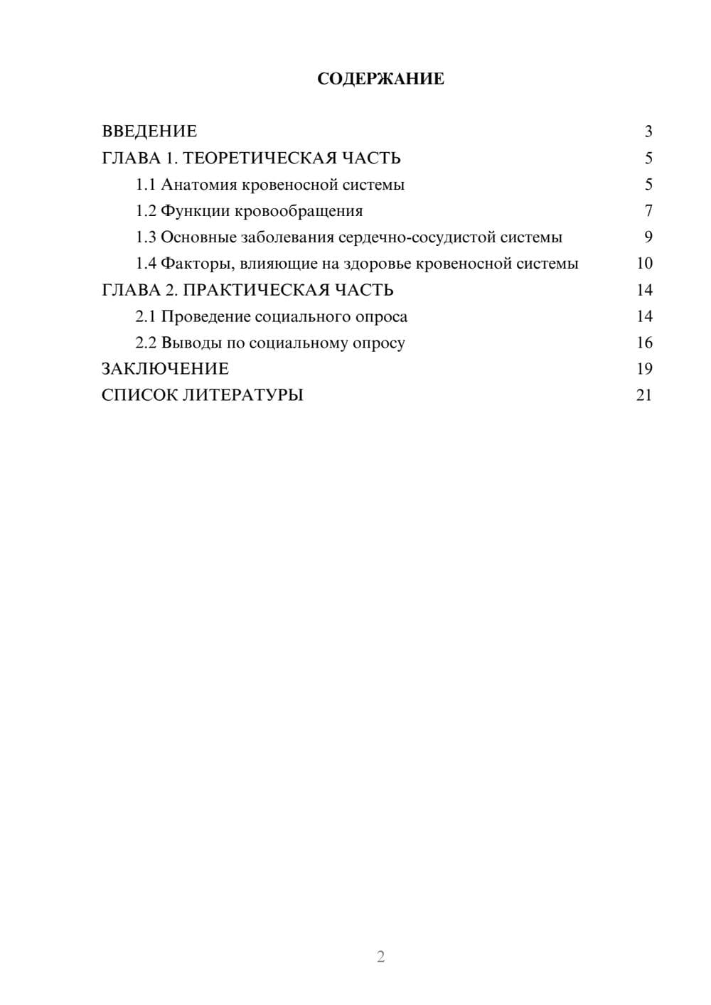 Предпросмотр проекта 2