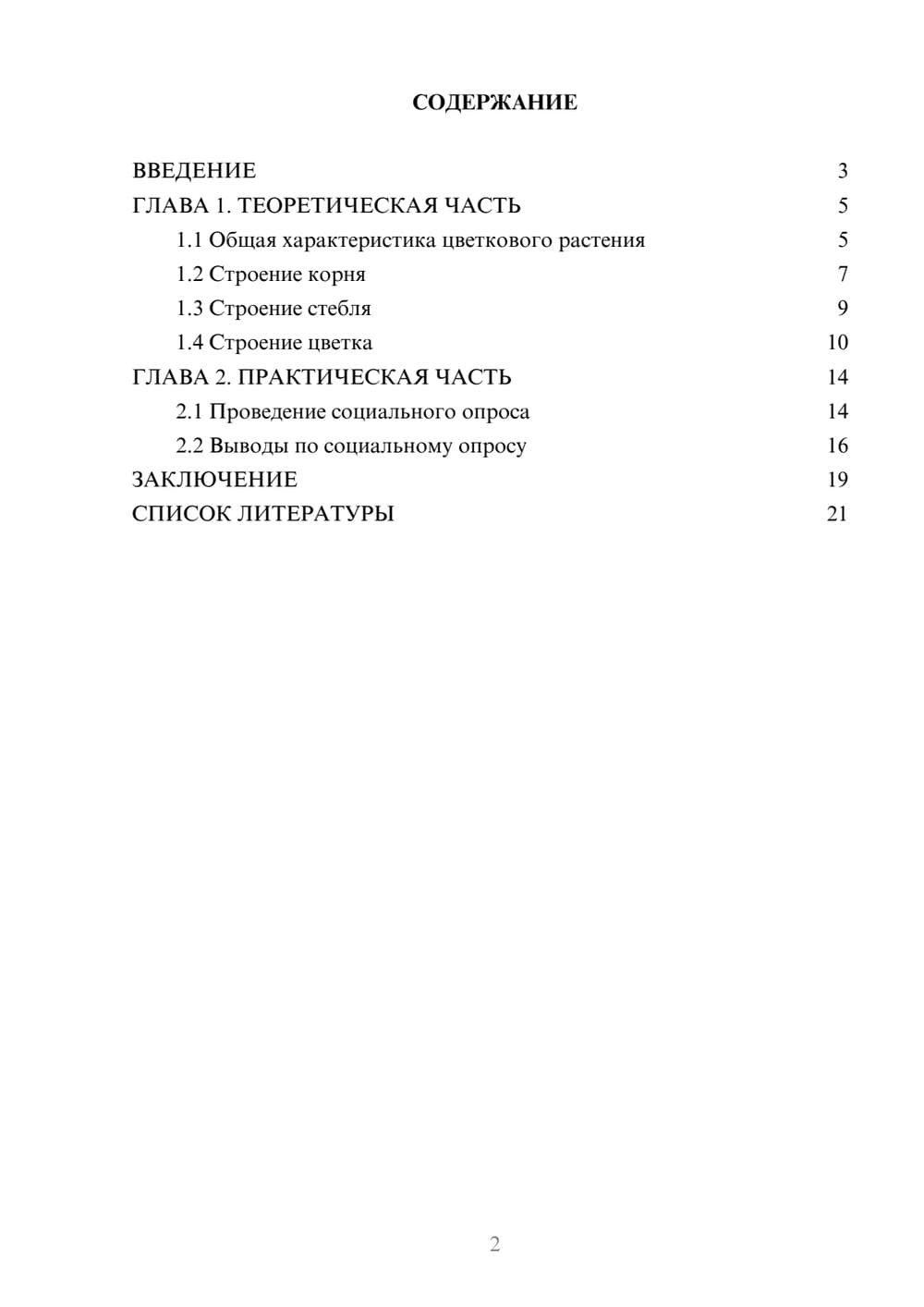 Предпросмотр проекта 2