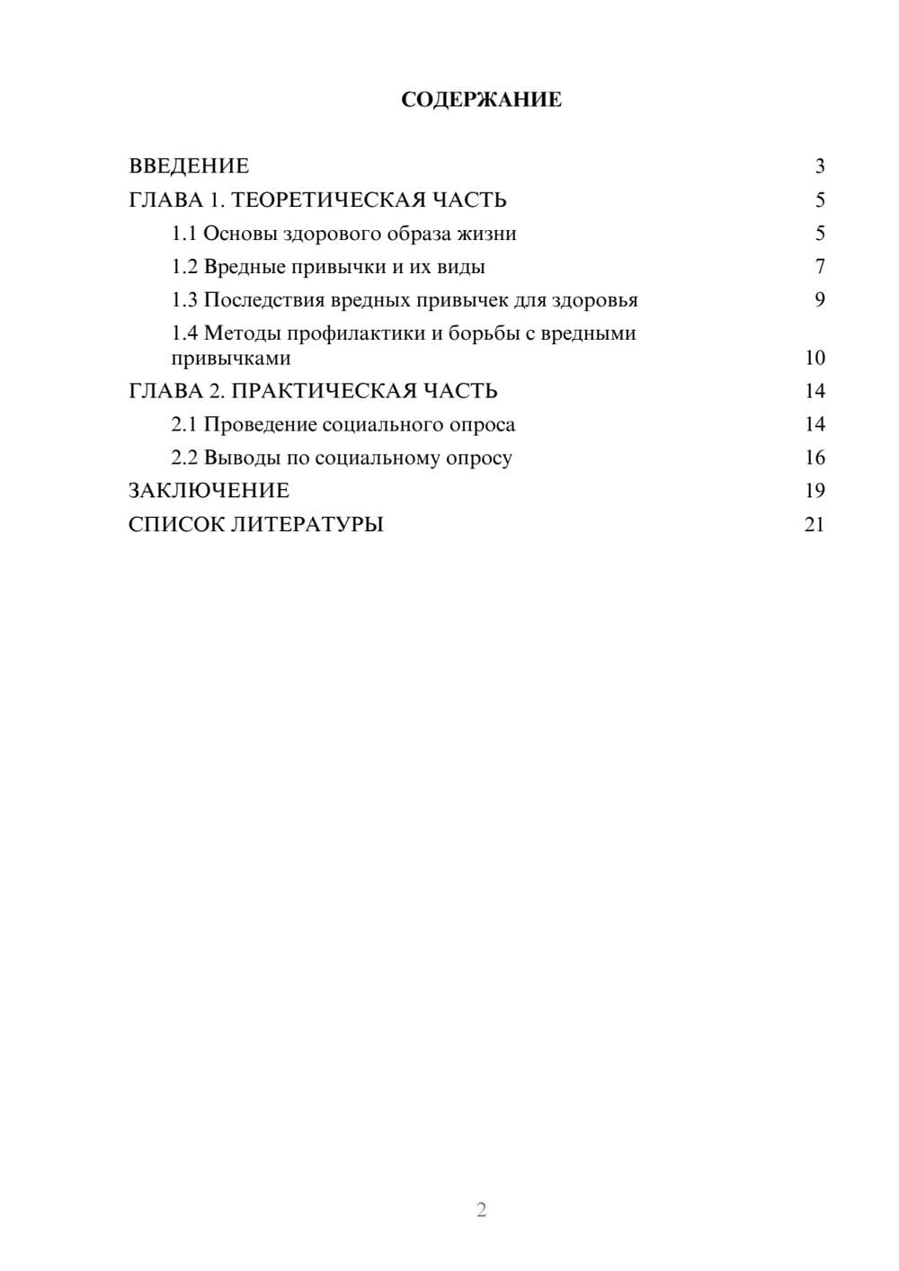 Предпросмотр проекта 2