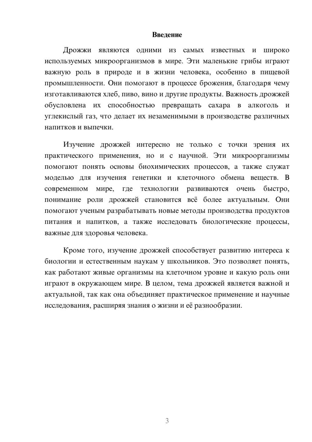 Предпросмотр доклада 3