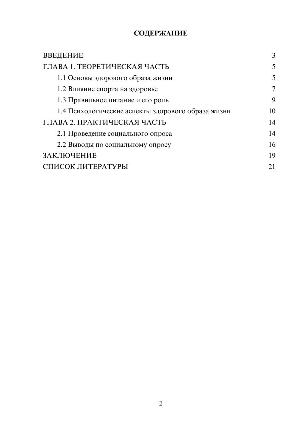 Предпросмотр проекта 2