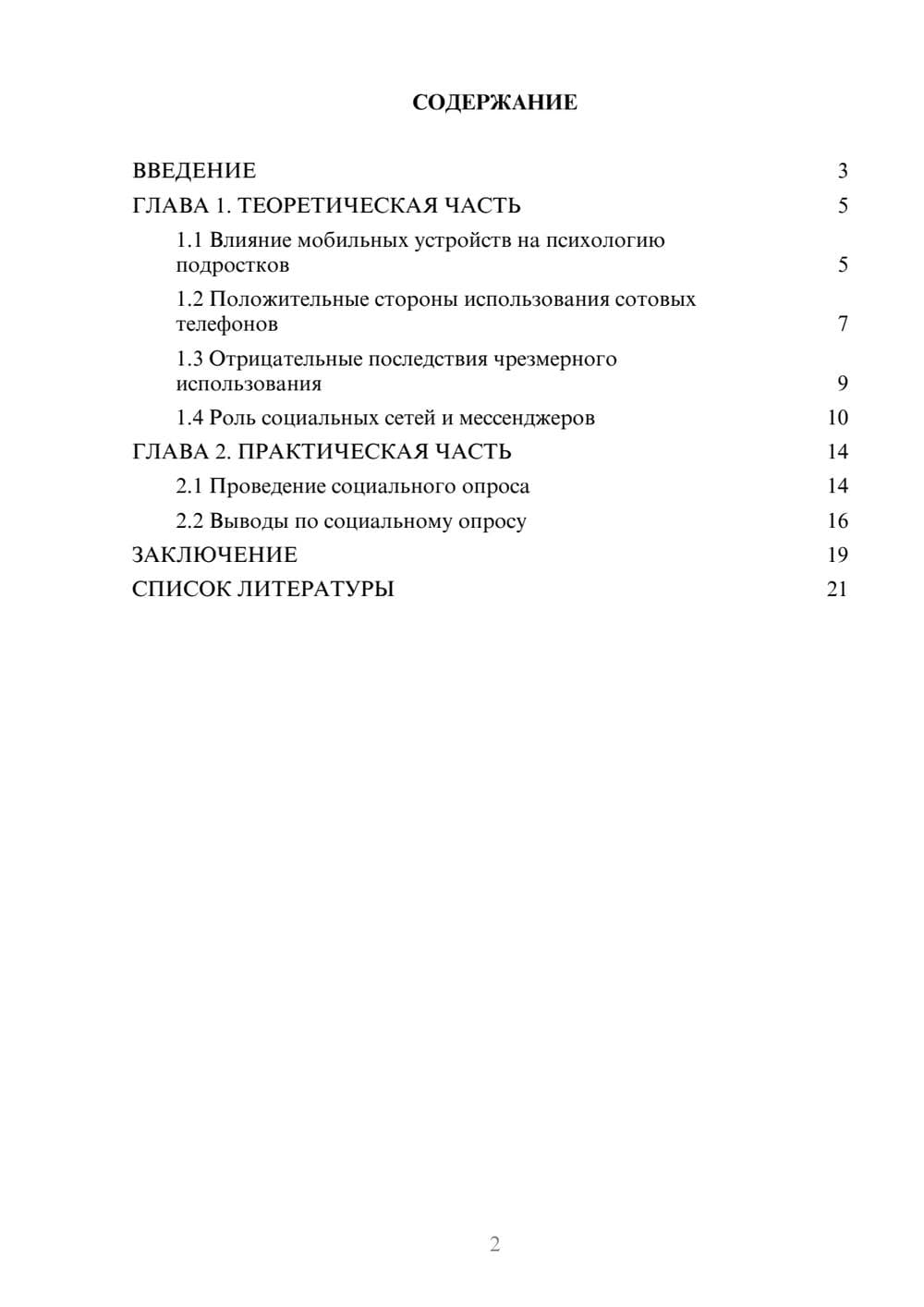 Предпросмотр проекта 2