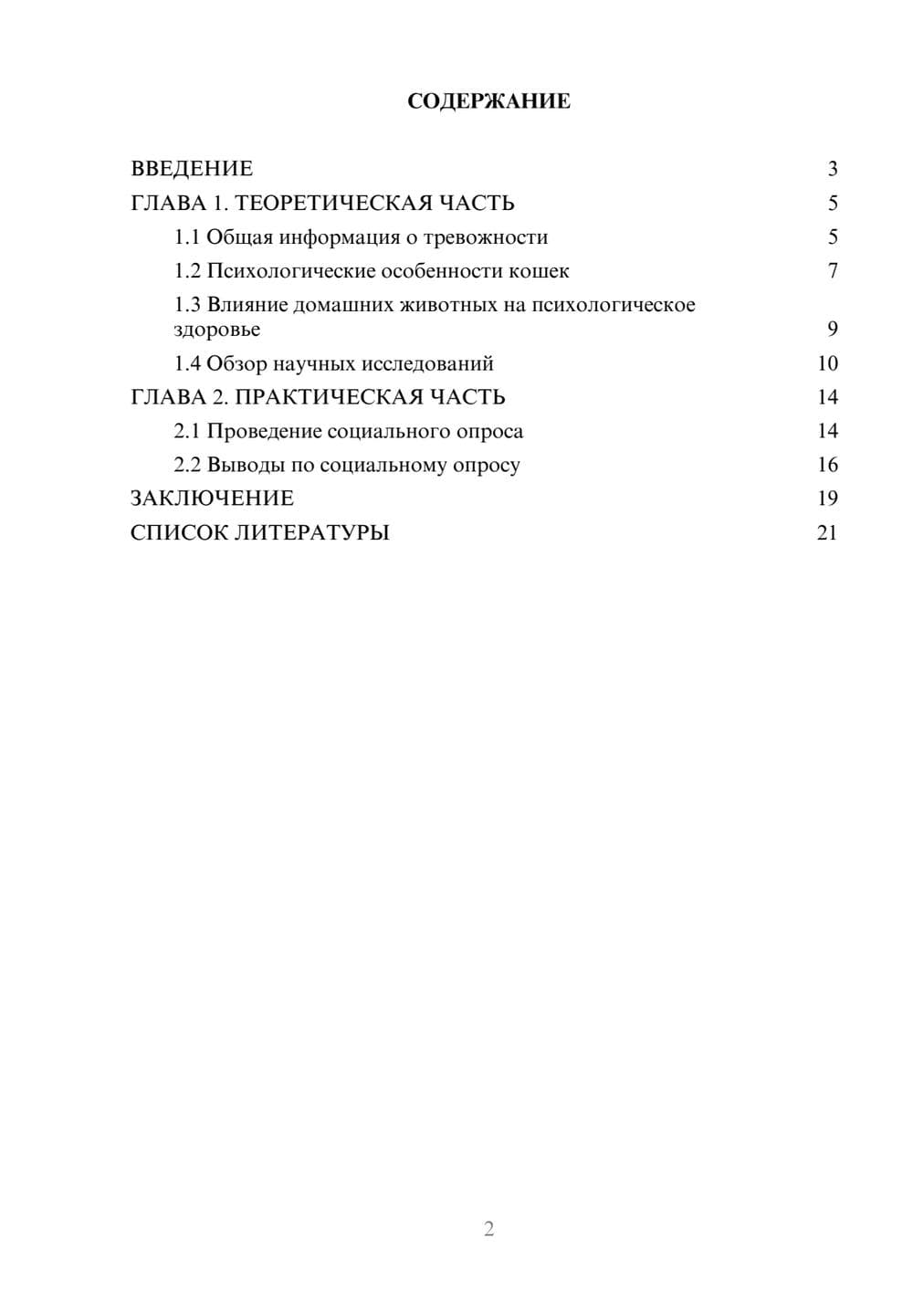 Предпросмотр проекта 2