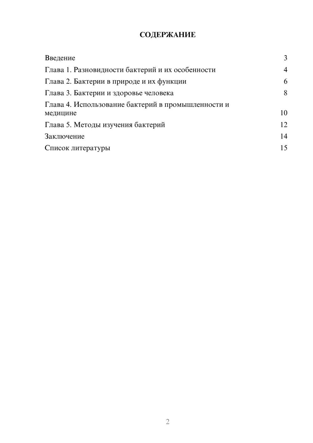 Предпросмотр доклада 2