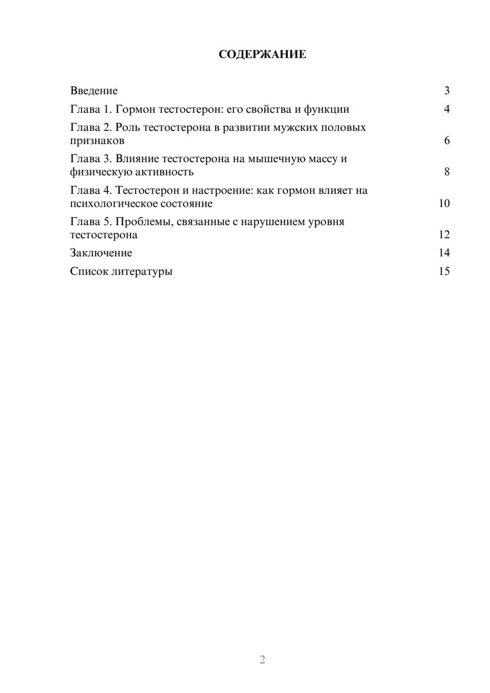 Предпросмотр доклада 2