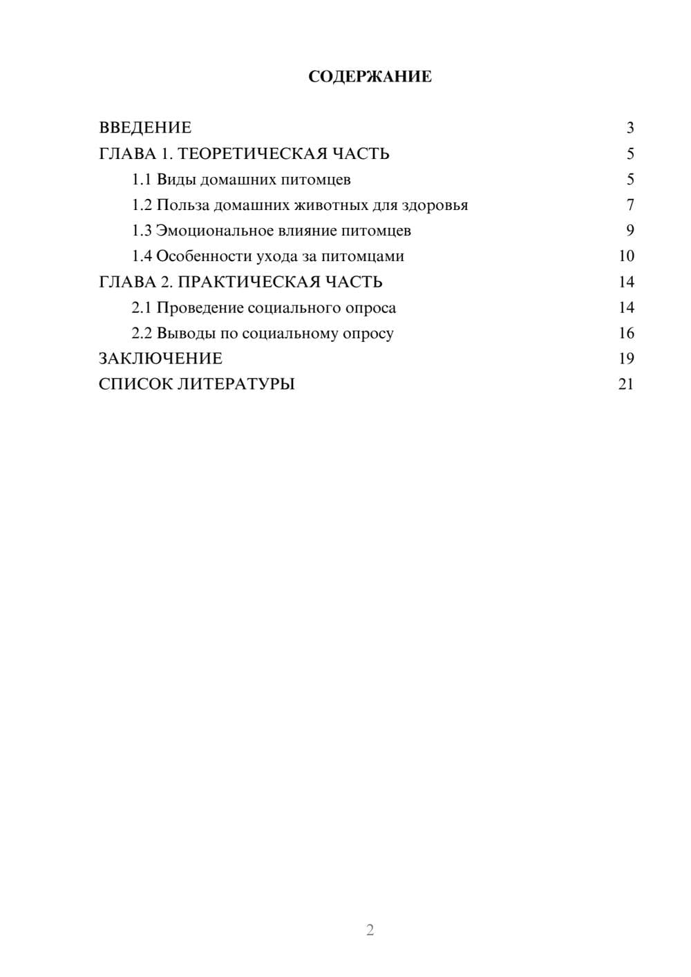 Предпросмотр проекта 2