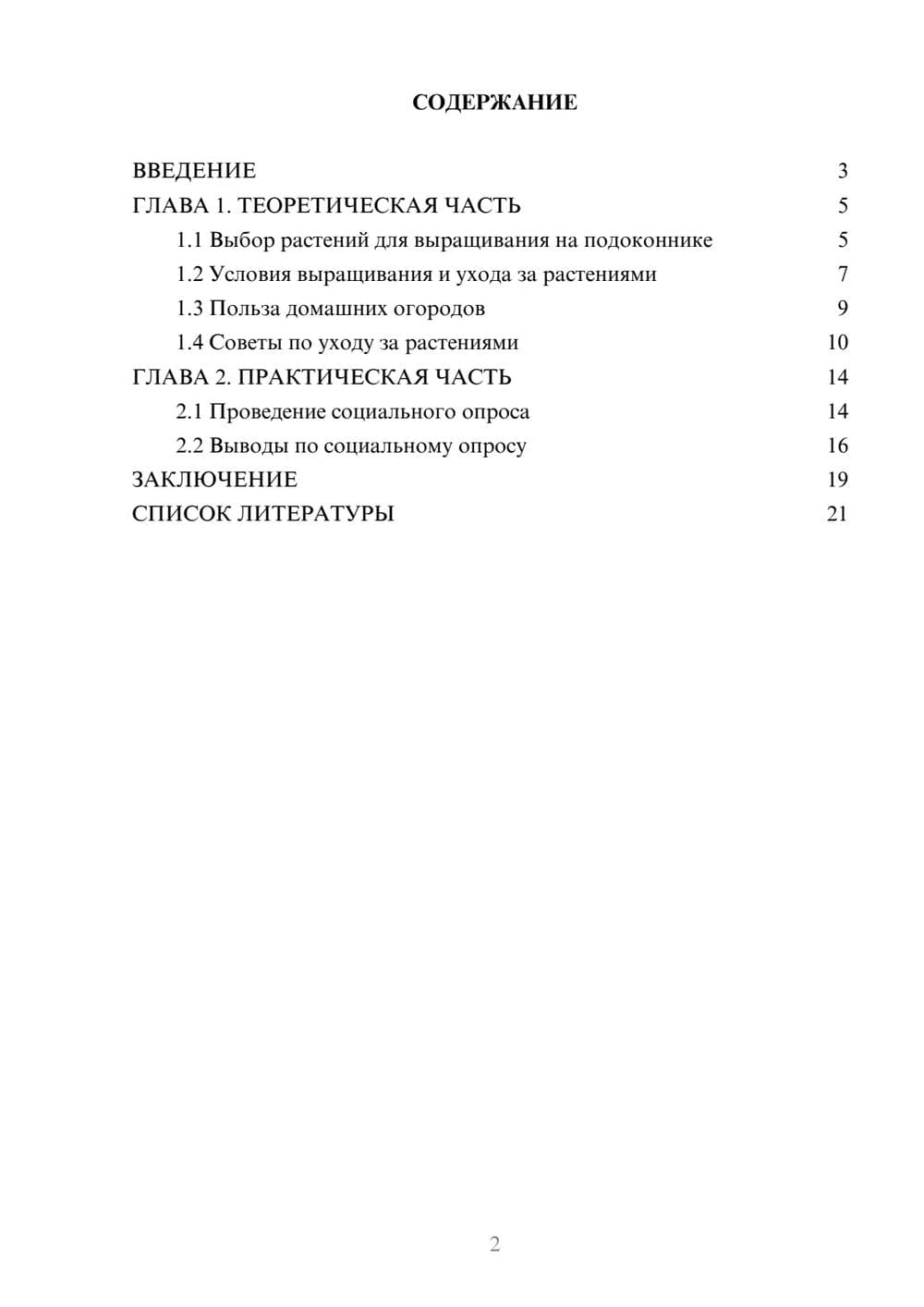 Предпросмотр проекта 2