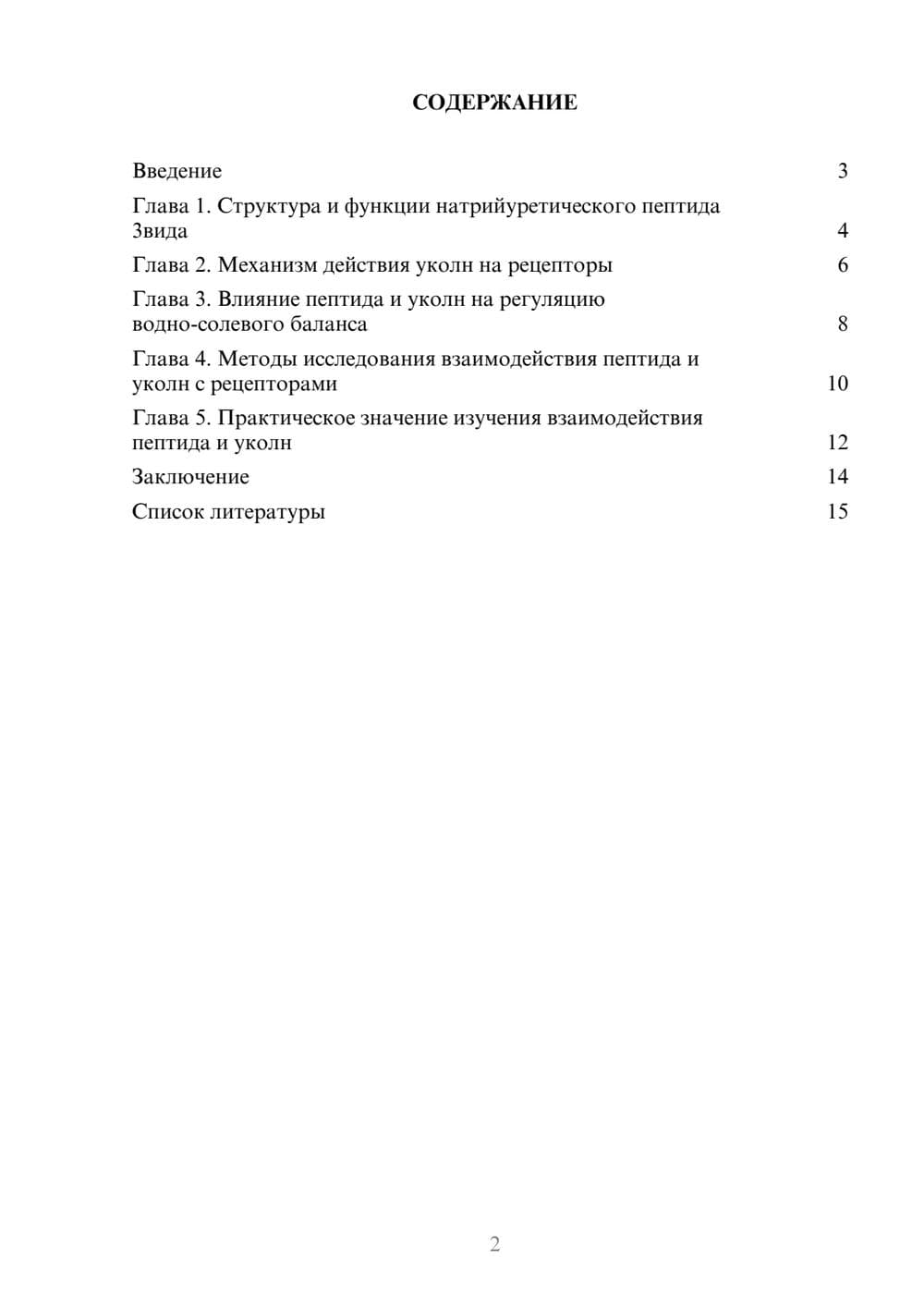 Предпросмотр доклада 2