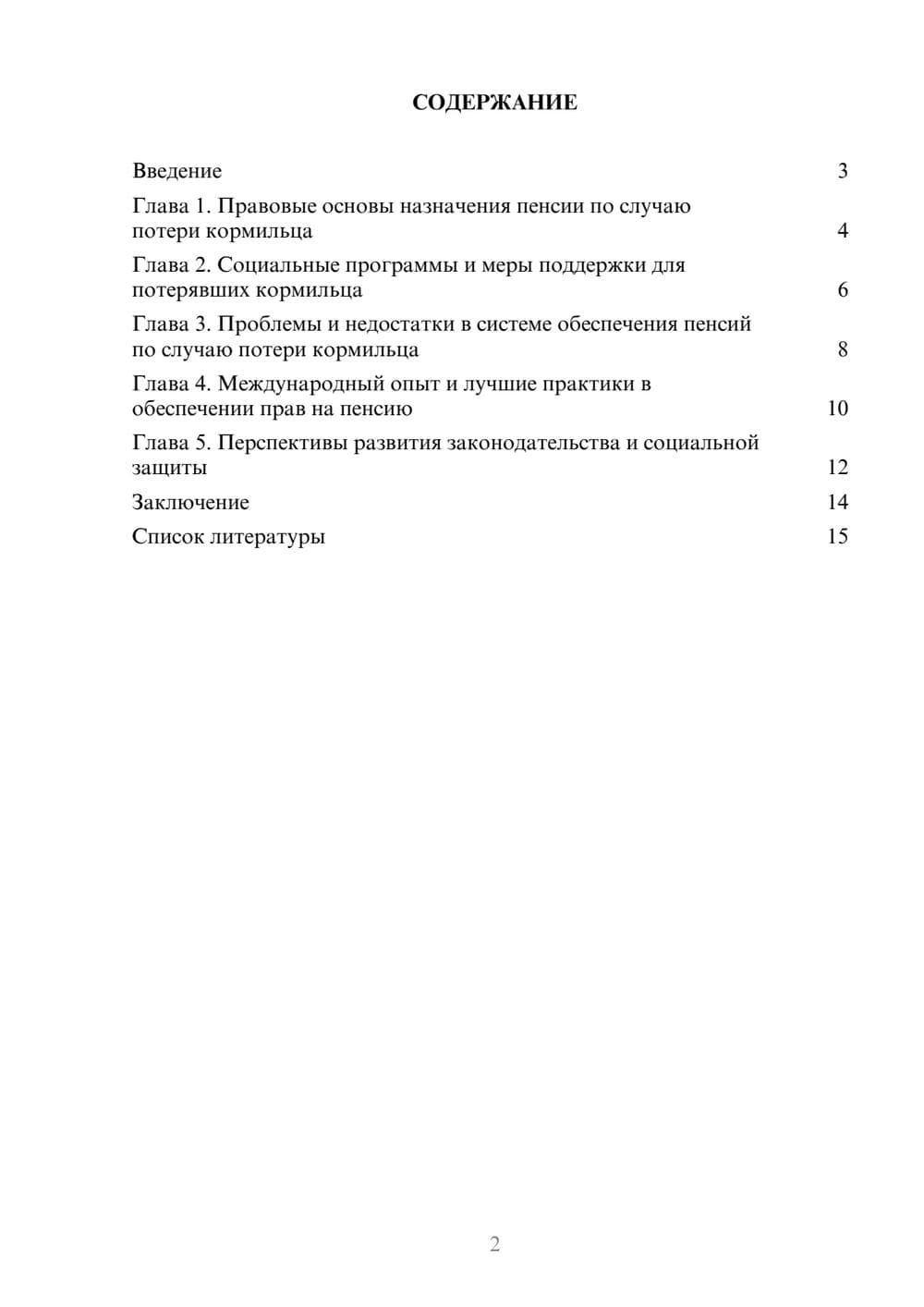 Предпросмотр доклада 2