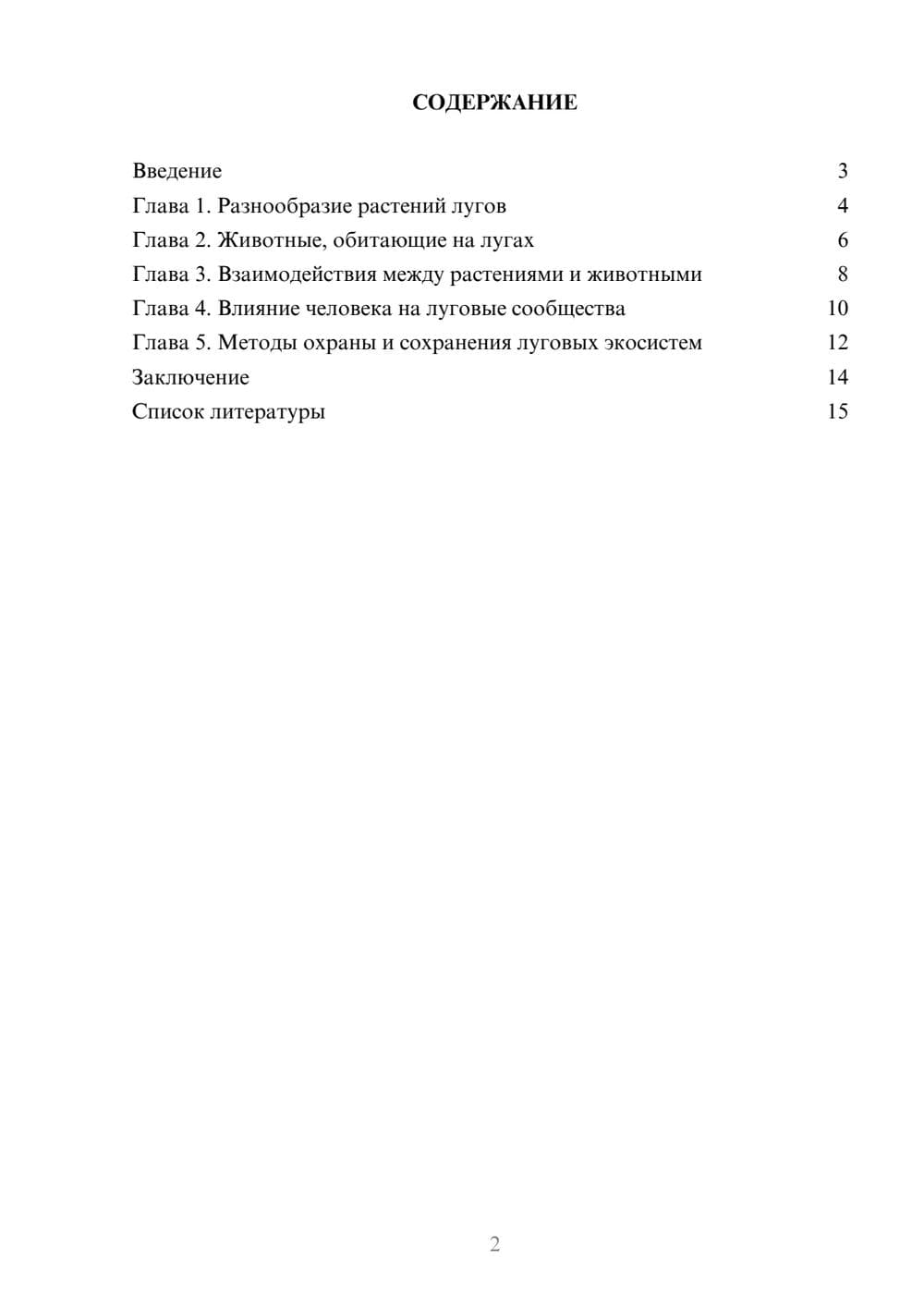 Предпросмотр доклада 2