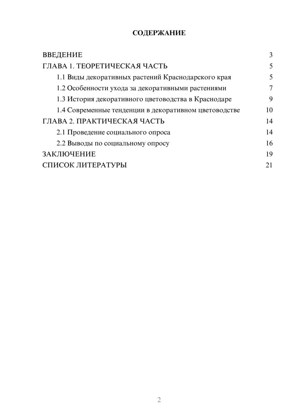 Предпросмотр проекта 2