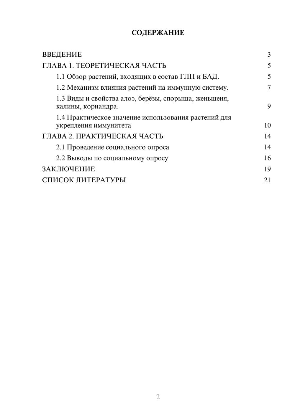Предпросмотр проекта 2
