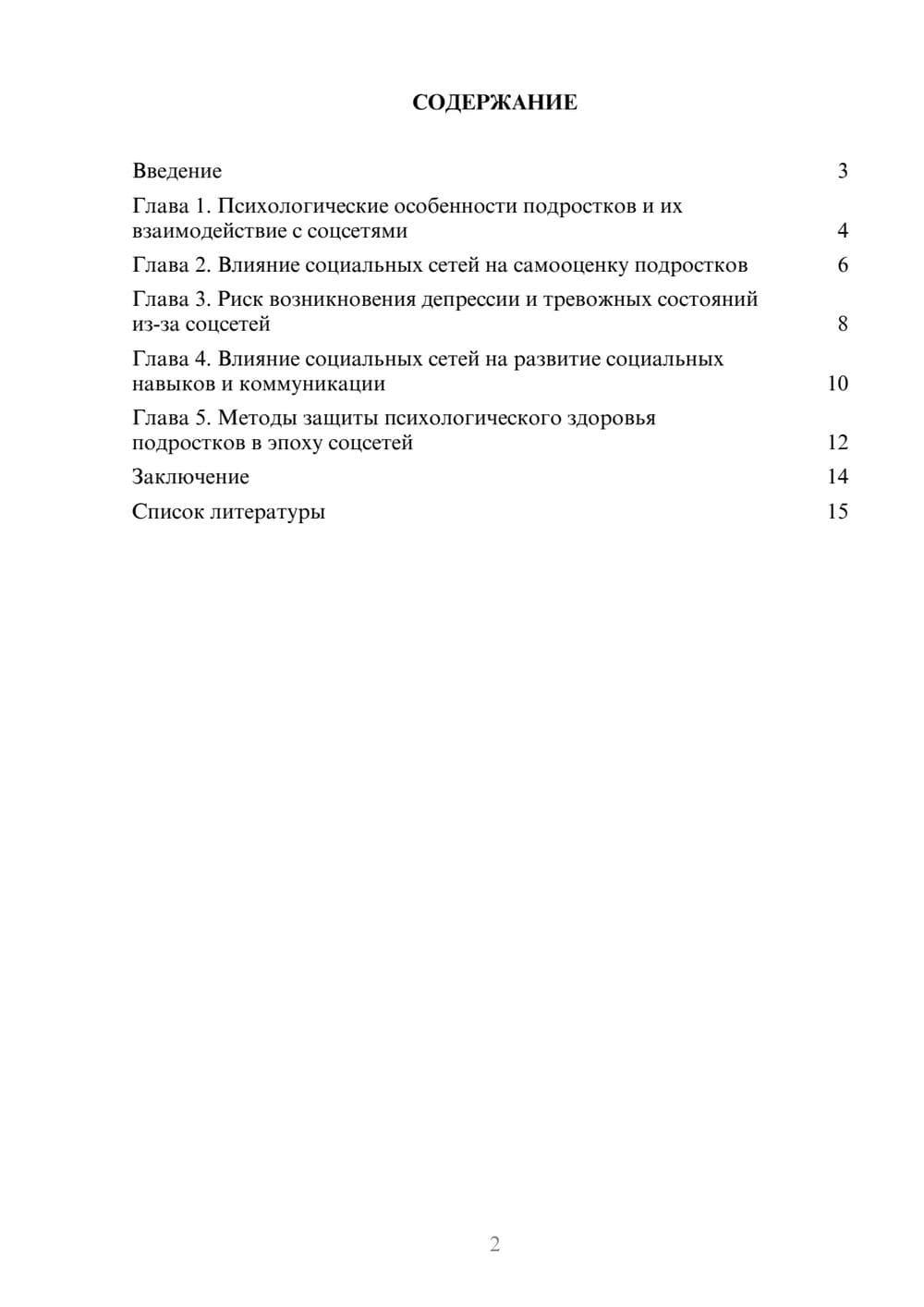 Предпросмотр доклада 2